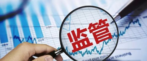 債券市場穩(wěn)定成監(jiān)管核心——金融委會議部署打擊逃廢債與深入市場調(diào)查